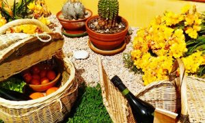 Paniers fermés en osier formation à la vannerie d'osier dans les Landes