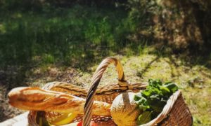 Panier de marché en osier formation à la vannerie d'osier dans les Landes