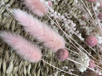 Fleurs séchées rose formation à Paris