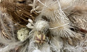 Bouquet blanc formation fleurs séchées à Paris