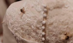 Détails de dentelle Formation Couture au Mans : métiers de la mode et vêtement flou