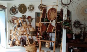 Atelier Formation à la vannerie d'osier dans les Hauts-de-France