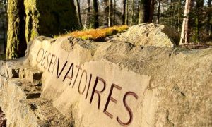 Pierre gravée Formation tailleur de pierre dans les Vosges