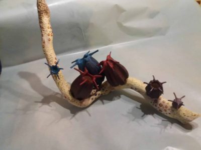 Fleurs à gousse formation Tourneur sur bois entre Grenoble et Chambéry