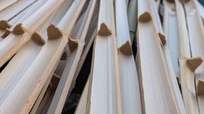 Lamelles brutes avec restes de diaphragmes stage dans l'univers du bambou