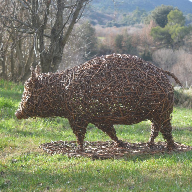 Sanglier Loïz Appel, vannier en région PACA