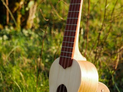 Guitare nature bois Formation Luthier située entre Besançon et Dijon