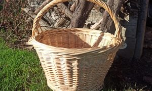 Panier rond en osier blanc formation à la vannerie d'osier en Gironde