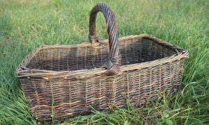 Panier Asturie formation à la vannerie d'osier en région PACA
