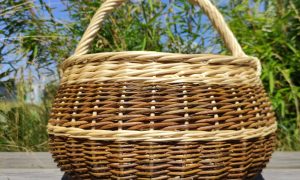 Panier rond galbe Formation à la vannerie d'osier dans les Hauts-de-France