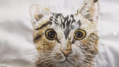 Chat Stage broderie sur 4 techniques