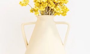Amphore pendant la formation CPF poterie avec un potier à Sète