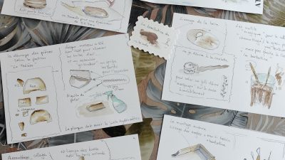 Etudes botaniques Stage d'aquarelle et de céramique