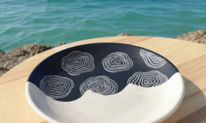 Assiette pendant la formation céramique et poterie à Nice dans les Alpes Maritimes
