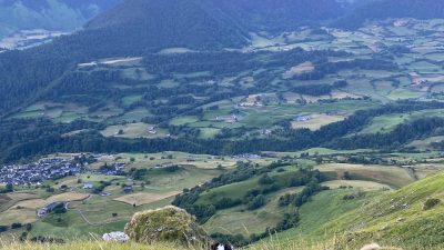 Chien de berger dans une estive au cœur des Pyrénées