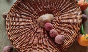 Panière à fruits au cours de la formation vannerie avec un vannier dans les Hauts-de-France