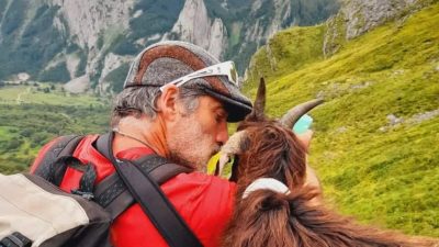 Jean-Louis Laborde, berger, auprès d'une chèvre sur son estive dans les Pyrénées