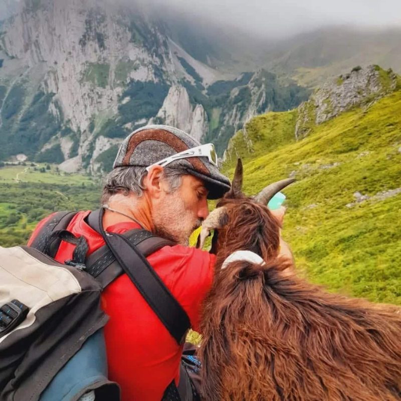 Jean-Louis Laborde, berger, auprès d'une chèvre sur son estive dans les Pyrénées