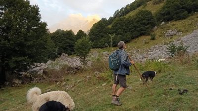 Jean-Louis Laborde, berger, marchant en estive dans les Pyrénées avec ses chiens.