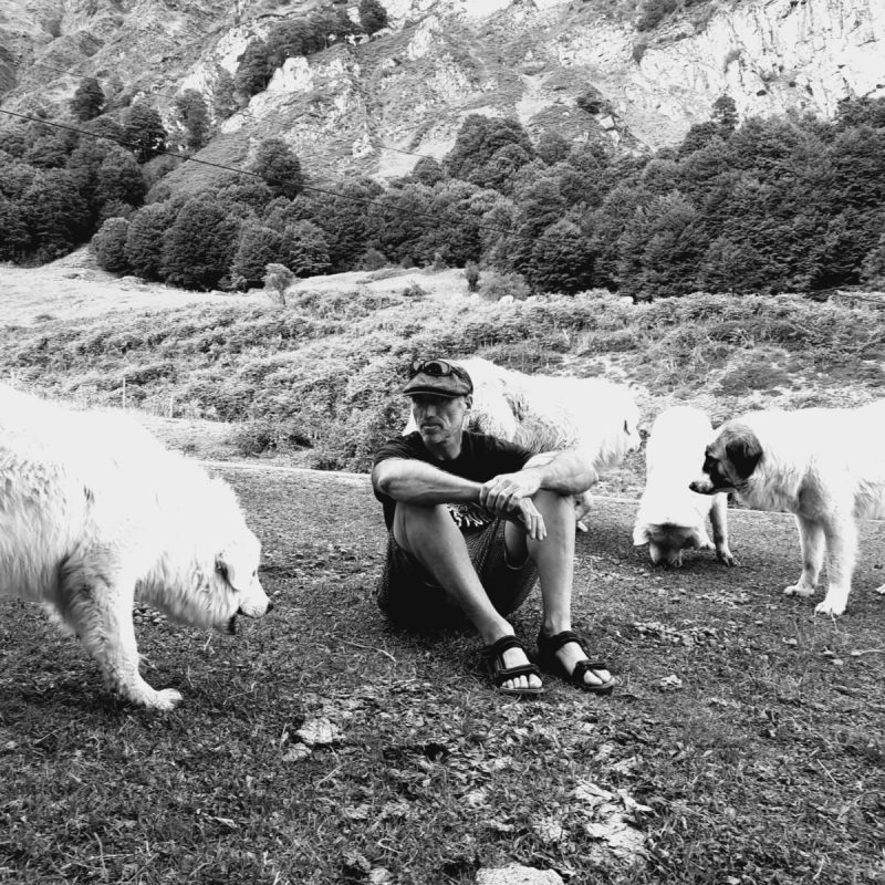 Jean-Louis Laborde, berger transhumant, entouré de ses chiens en estive à Lescun