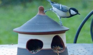 Mangeoire à oiseaux au cours de la formation tournage céramique et poterie avec une céramiste proche Hérault