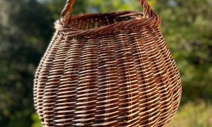 Panier en vannerie d'osier pendant la formation vannier en PACA vers Aix-en-Provence