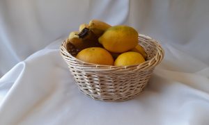 Panière de fruit faite au cours de la formation vannerie entre Dijon et Mâcon