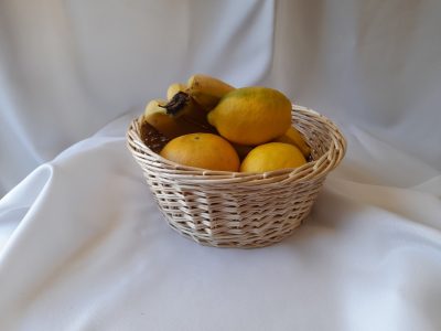 Panière de fruit faite au cours de la formation vannerie entre Dijon et Mâcon