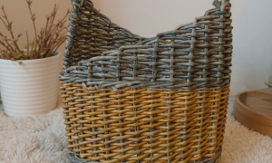 Petit panier médiéval pendant la formation vannerie dans l'Hérault avec un vannier