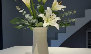 Vase blanc formation Tournage en Céramique proche de Toulouse