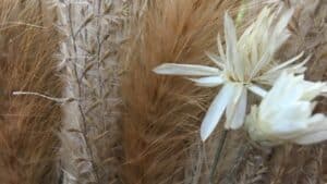 Bouquets au cours de l'atelier de fleurs séchées à Paris en Ile-de-France